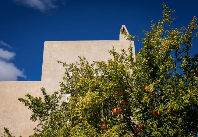 Villa en Sant Francesc de Formentera - Can Noves - Estilosa villa con barbacoa y agradable zona exterior-Sant Francesc Villa en Sant Francesc de Formentera - Can Noves - Estilosa villa con barbacoa y agradable zona exterior-Sant Francesc