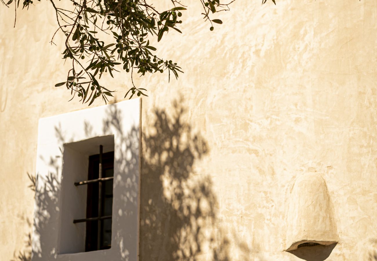 Villa en Sant Francesc de Formentera - CAN NOVES-Fabulosa villa en zona céntrica y tranquila Villa en Sant Francesc de Formentera - CAN NOVES-Fabulosa villa en zona céntrica y tranquila