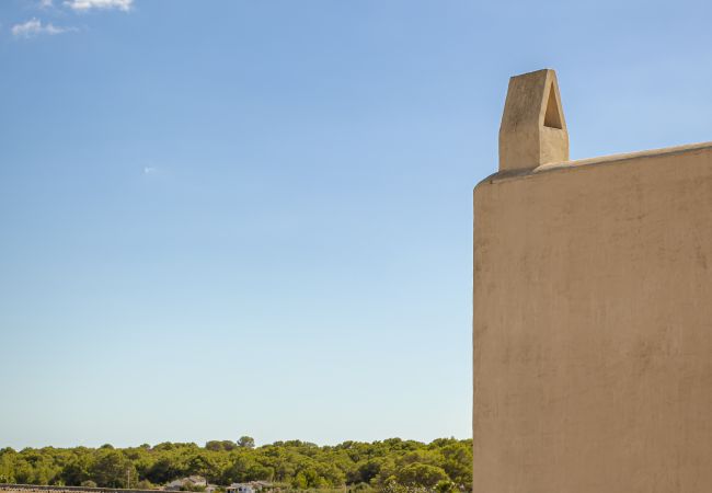 Villa in Sant Francesc de Formentera - Villa mit Terrasse und Grill mit allen Annehmlichkeiten ausgestattet Villa in Sant Francesc de Formentera - Villa mit Terrasse und Grill mit allen Annehmlichkeiten ausgestattet