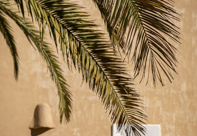 Villa in Sant Francesc de Formentera - Villa mit Terrasse und Grill mit allen Annehmlichkeiten ausgestattet Villa in Sant Francesc de Formentera - Villa mit Terrasse und Grill mit allen Annehmlichkeiten ausgestattet