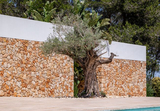 Villa in Santa Eulalia des Riu - Can Rafalet - Modern style&brand new villa with pool, garden and  BBQ Villa in Santa Eulalia des Riu - Can Rafalet - Modern style&brand new villa with pool, garden and  BBQ