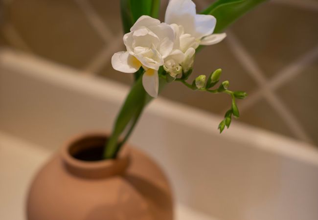 Villa in Santa Eulalia des Riu - Can Vicent Rafal newbuilt villa with pool&BBQ Villa in Santa Eulalia des Riu - Can Vicent Rafal newbuilt villa with pool&BBQ