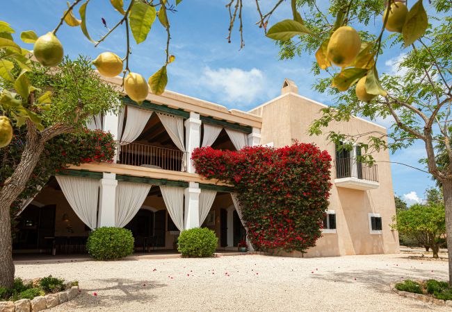 Villa in Santa Eulalia des Riu - Can Vicent Rafal newbuilt villa with pool&BBQ Villa in Santa Eulalia des Riu - Can Vicent Rafal newbuilt villa with pool&BBQ