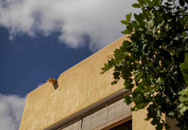 Villa in Sant Francesc de Formentera - CAN NOVES-Fabulous villa in a central and quiet area Villa in Sant Francesc de Formentera - CAN NOVES-Fabulous villa in a central and quiet area