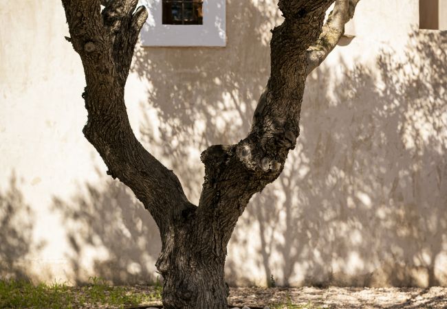 Villa à Sant Francesc de Formentera - CAN NOVES-Fabuleuse villa dans un quartier central et calme Villa à Sant Francesc de Formentera - CAN NOVES-Fabuleuse villa dans un quartier central et calme