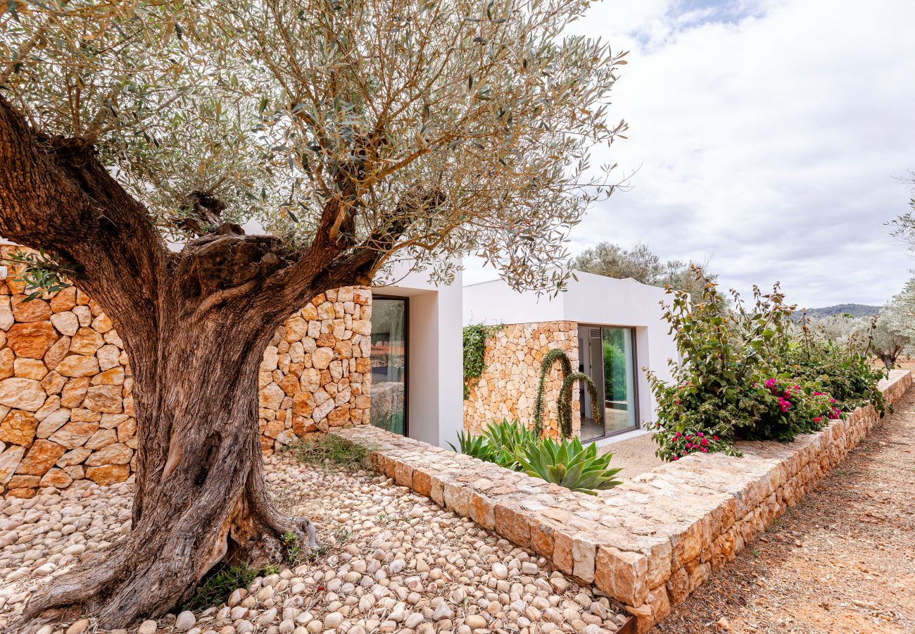 Villa a Santa Eulalia des Riu - Can Rafalet - Modern style&brand new villa with pool, garden and  BBQ Villa a Santa Eulalia des Riu - Can Rafalet - Modern style&brand new villa with pool, garden and  BBQ